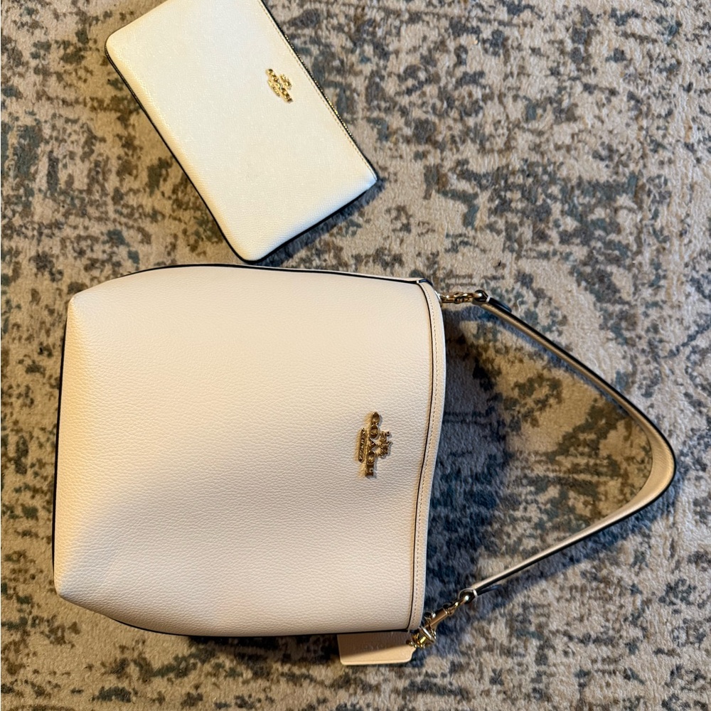 Coach small city bucket bag